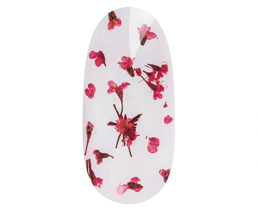 
	Flower design gel is a long-lasting gel with dried flower elements. The easy-to-apply formula and excellent consistency ensure that the gel does not...